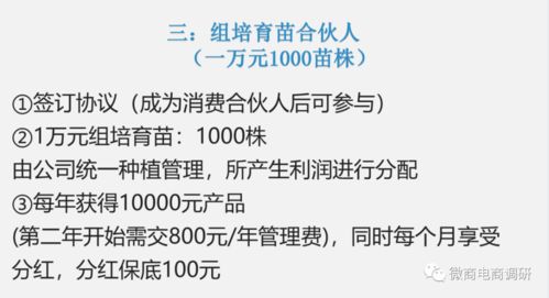 鴻信源代理制度詳解 如何通過代用茶宣傳提升免疫力并實現創業共贏